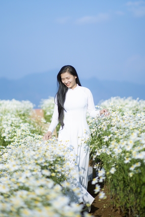 白色雏菊花海奥黛美女写真图片
